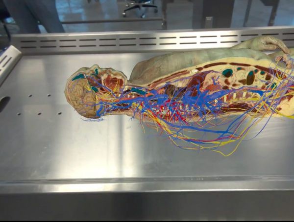 虚拟现实|虚拟仿真|三维虚拟技术|可视化工程|虚拟仿真交互|航空航天|汽车仿真|轮船仿真|列车仿真|多媒体应用|轨道交通|船舶制造|能源矿业|电力仿真|游戏开发|虚拟漫游|建筑设计|石油钻井|核能开放|互动营销|展览展示|爱迪斯通 虚拟现实|虚拟仿真|三维虚拟技术|可视化工程|虚拟仿真交互|航空航天|汽车仿真|轮船仿真|列车仿真|多媒体应用|轨道交通|船舶制造|能源矿业|电力仿真|游戏开发|虚拟漫游|建筑设计|石油钻井|核能开放|互动营销|展览展示|爱迪斯通