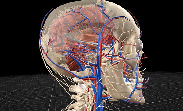 虚拟现实|虚拟仿真|三维虚拟技术|可视化工程|虚拟仿真交互|航空航天|汽车仿真|轮船仿真|列车仿真|多媒体应用|轨道交通|船舶制造|能源矿业|电力仿真|游戏开发|虚拟漫游|建筑设计|石油钻井|核能开放|互动营销|展览展示|爱迪斯通